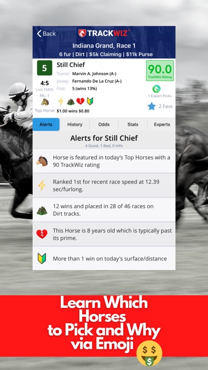 TrackWiz - Horse Race Betting