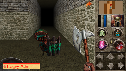 The Quest - Hero of Lukomorye2 Screenshot