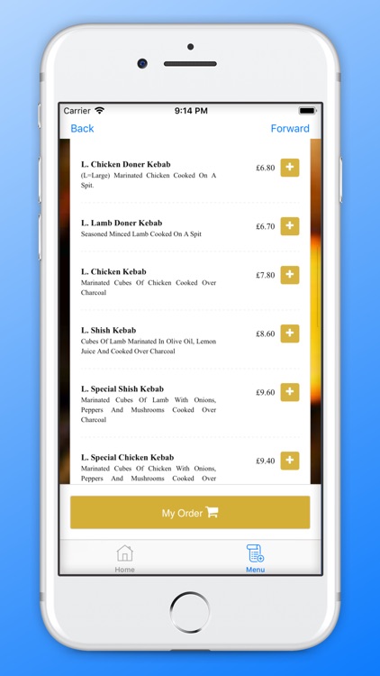 Star Kebab Southampton screenshot-3