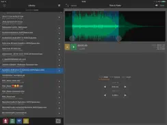 AudioShare iPad image 2