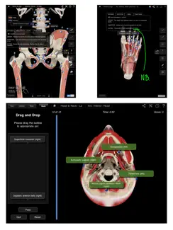 Muscle System Pro III iPad image 3