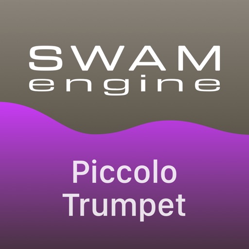 SWAM Piccolo Trumpet