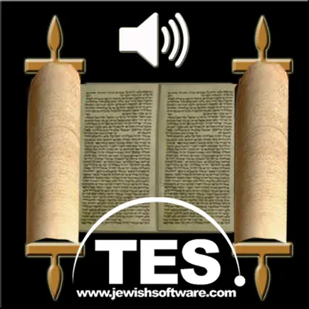 Hebrew Bible Reader Cheats