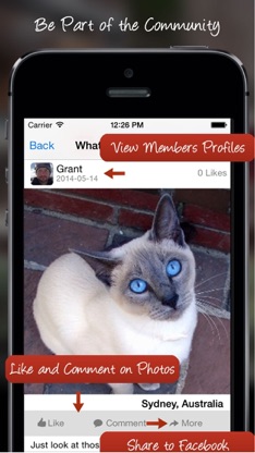 Tag A Cat - The Cat Photo App screenshot 4
