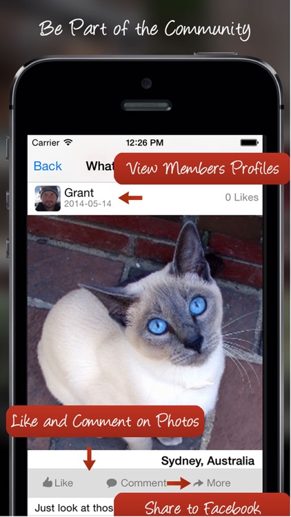 Tag A Cat - The Cat Photo App screenshot-3
