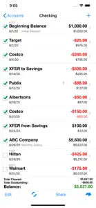 Accounts 2 Checkbook screenshot #3 for iPhone