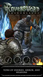 ravensword: shadowlands iphone screenshot 1