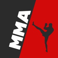 Quiz, MMA fight pass game