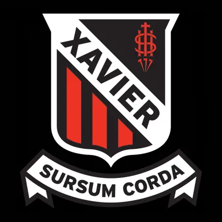 My Xavier Читы