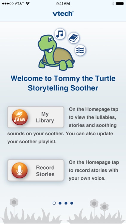 Tommy the Turtle