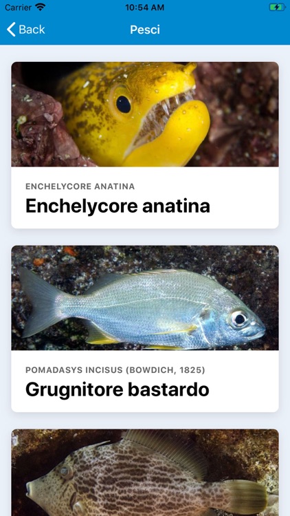 Segnala gli Alieni del Mare