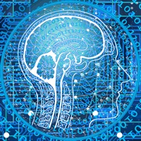 Brainjection pour PC