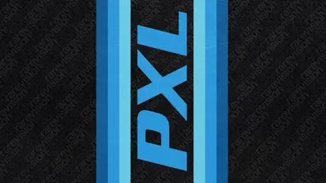 PXL2000 - 80s Pixelvision Cam