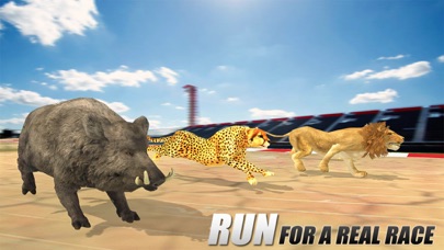 Crazy Wild Animal Racing Game Screenshot