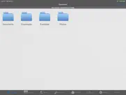 replicate™ pro for ipad айпад изображения 1