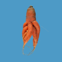 Quirky Carrots Memory Game