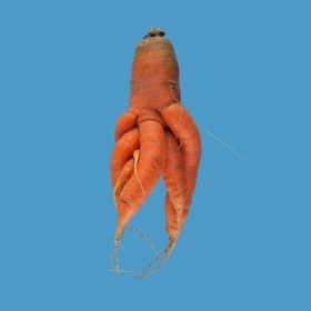 螢幕擷取畫面 (8) Quirky Carrots Memory Game
