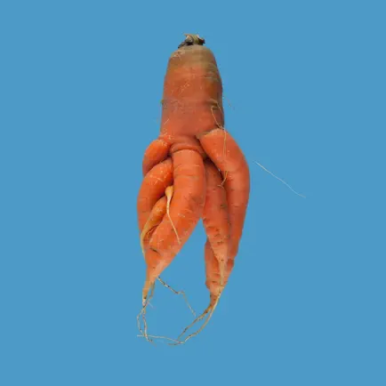 Quirky Carrots Memory Game Cheats