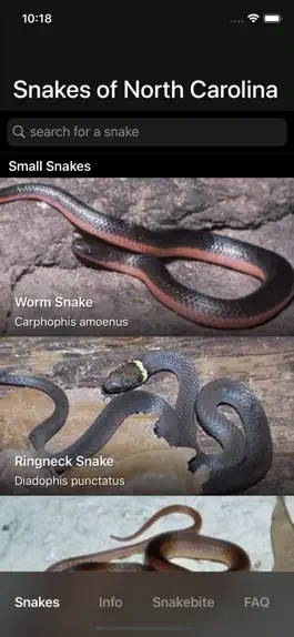 Game screenshot Snakes of North Carolina mod apk