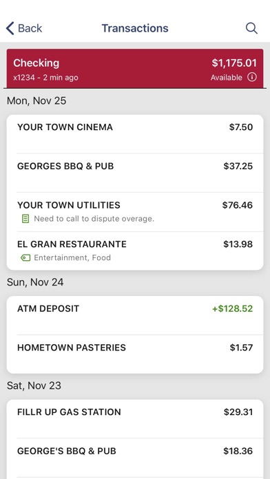 Bank of Buffalo Screenshot