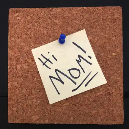 Senior Bulletin Board Cheats
