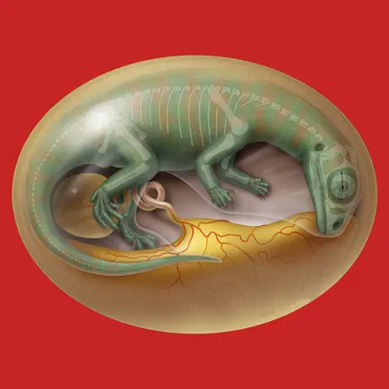 DinoEgg - Dino Egg Cheats