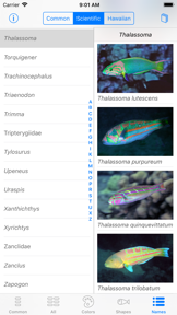 Snorkel Fish Hawaii for iPhone screenshot