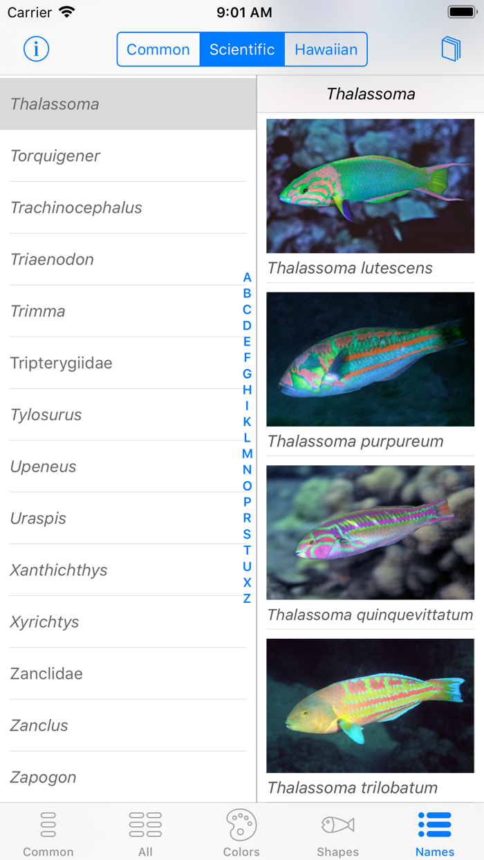 Snorkel Fish Hawaii for iPhone