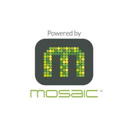 MOSAIC 365