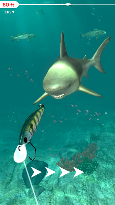 Rapala Fishing screenshot 1