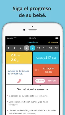 Game screenshot Guía de embarazo See Baby hack