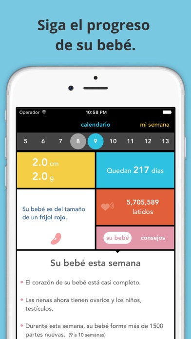 Guía de embarazo See Baby Screenshot