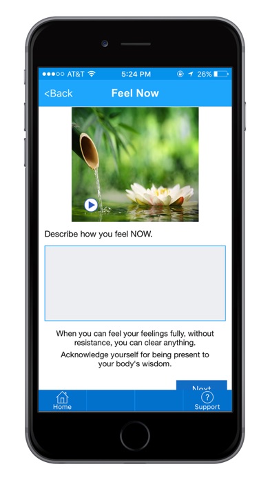Screenshot #8 for iClearIt