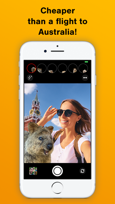 Quokka Selfie screenshot 2