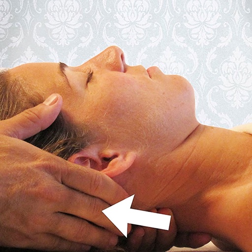 Massage Techniques Icon