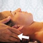 Massage Techniques app download