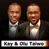 Kay and Olu Taiwo: Vision Life icon