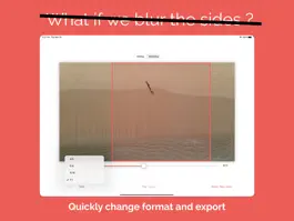 Game screenshot Magicrop Crop Videos to Mobile apk