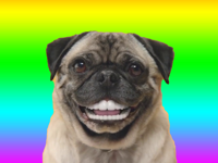 Animated Dog Stickers