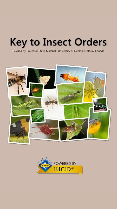Key to Insect Orders - Revised screenshot 1 of 6