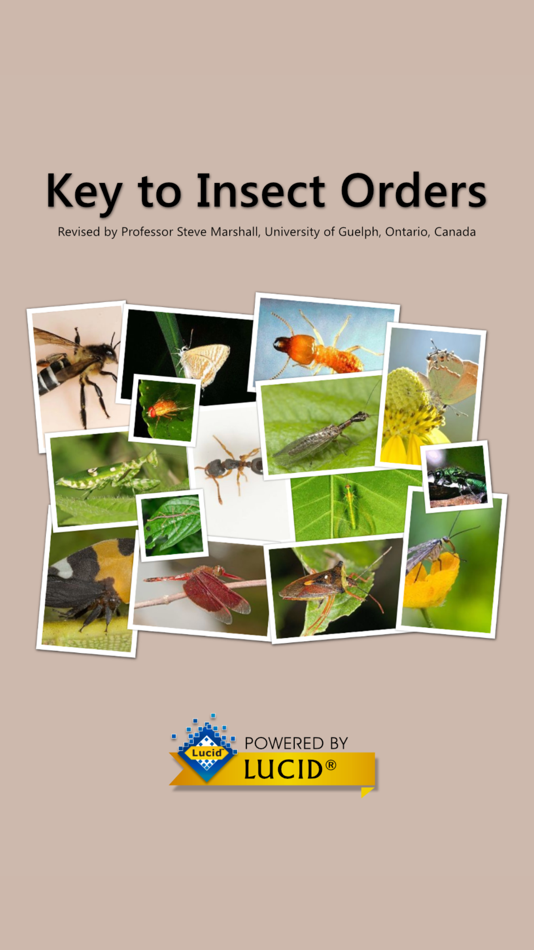 #1. Key to Insect Orders - Revised (iOS) بواسطة: LucidMobile