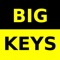 Large Print Keyboard for Low Vision and Low Dexterity iPad users