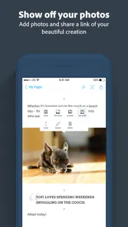 adobe spark page iphone screenshot 4