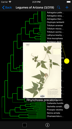 Phlora(圖4)-速報App