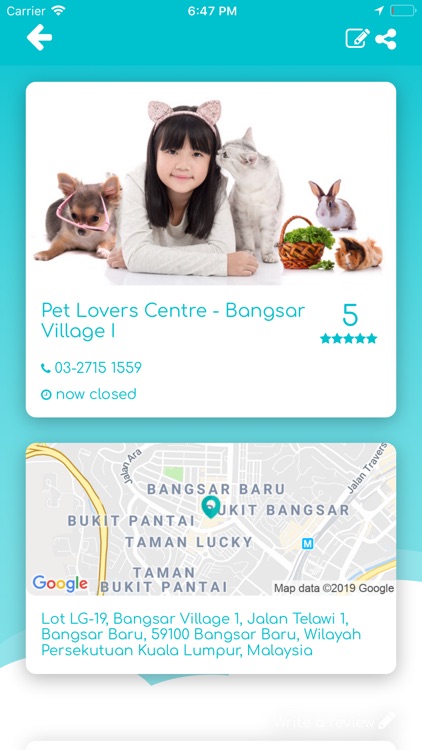 pets
