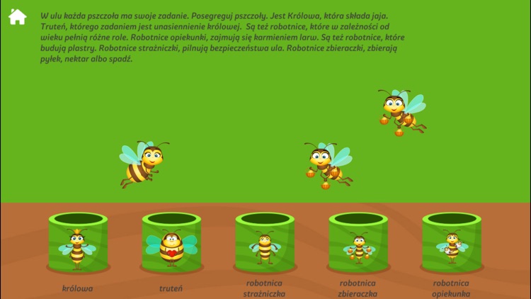 Pszczoła – gra dla dzieci