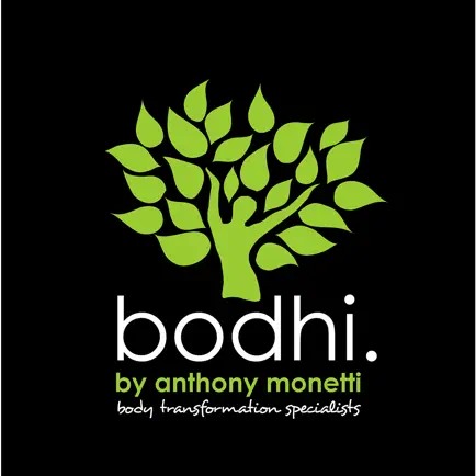 bodhi by anthony monetti llc Cheats