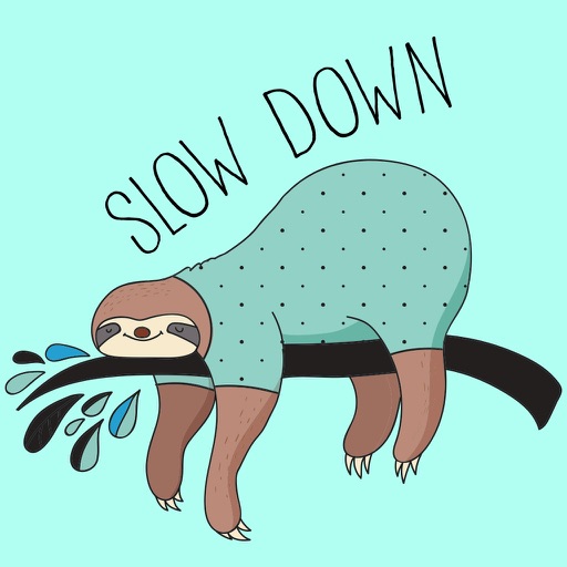 Cute Slow Down Sloth