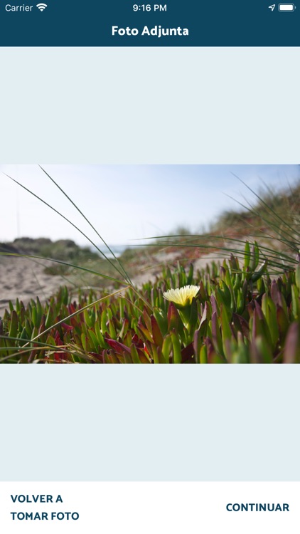 Cuencas Chile screenshot-6