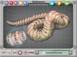 Game screenshot Earthworm Anatomy mod apk